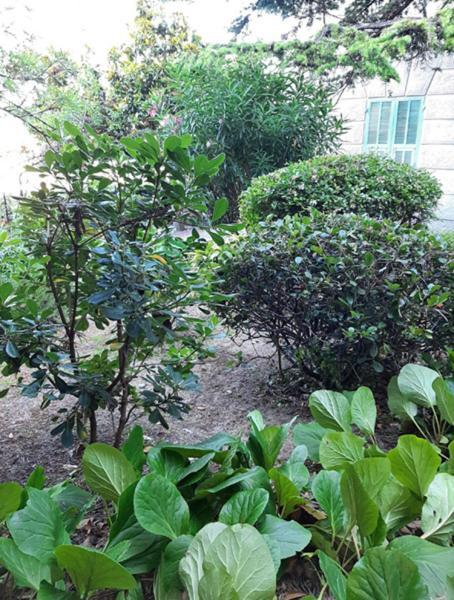 インペリア Casa Gazzanoヴィラ エクステリア 写真